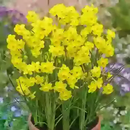 More and More